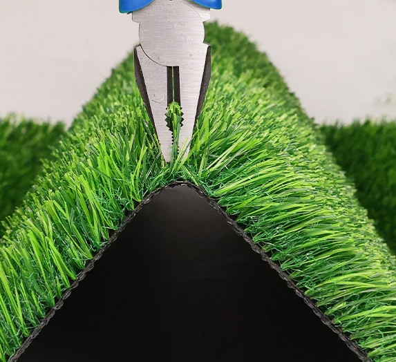 Leisure grass